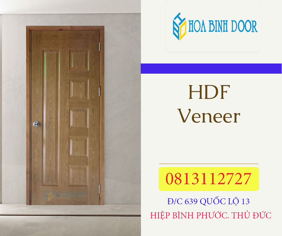 Cửa gỗ công nghiệp HDF Veneer - 6B Ash